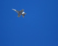JPC_0010A